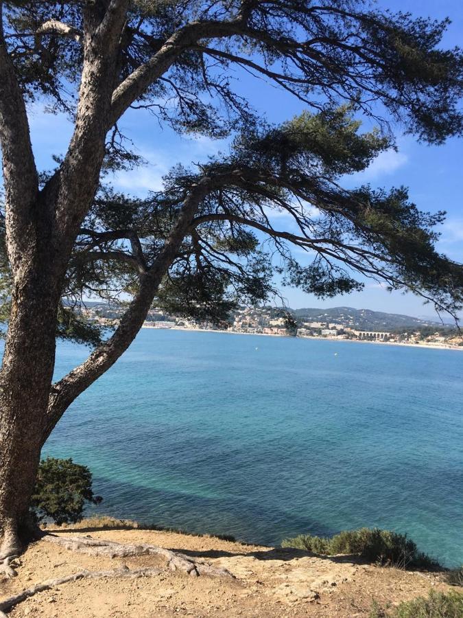 Les Galets De Sanary - Vue Mer Екстериор снимка