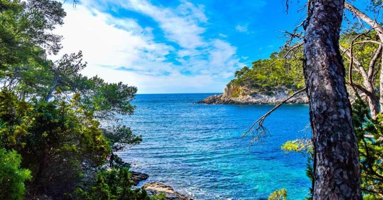 Les Galets De Sanary - Vue Mer Екстериор снимка